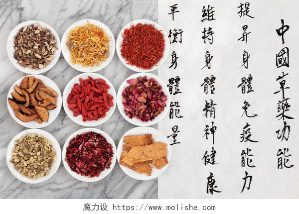 中国传统中草药与书法在宣纸上描述的保持健康的身体和精神健康和平衡的能量的身体能力